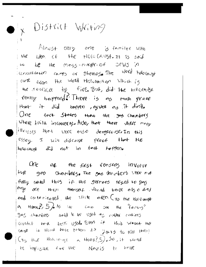 Custom Written Essay Sample On The Topic Of Holocaust