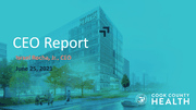 Item VII Report From The CEO