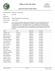 Legislative Bodies Detail Report