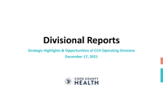 Item VII CEO Report/Divisional Report