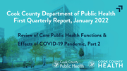 Item VI(A) Quarterly Report From CCDPH