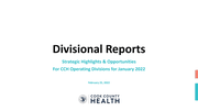 Item VIII CEO Report - Divisional Report