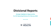 Item VIII Report From CEO - Divisional Report