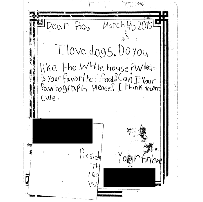 Page 2 of Dog Letter 2