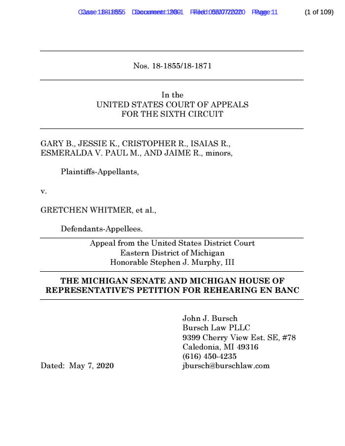 Page 1 of Petition for en Banc Review