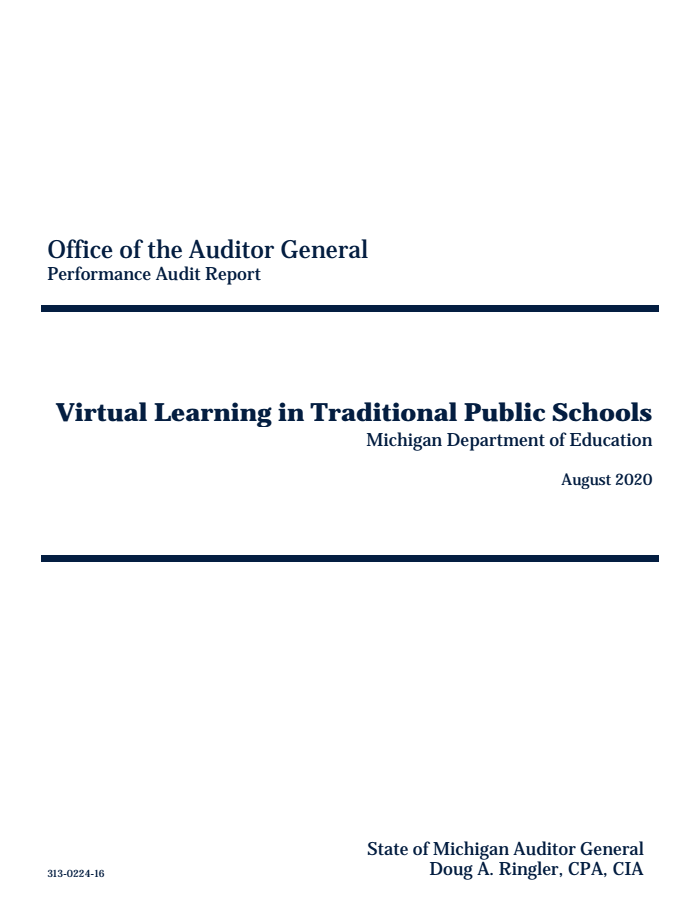 Page 1 of Virtual School Audit